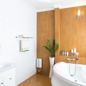 Modern house bathroom interior